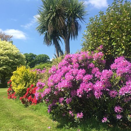 Stay On The Grounds Of This Beautiful Manor House Wimborne Minster Exteriör bild