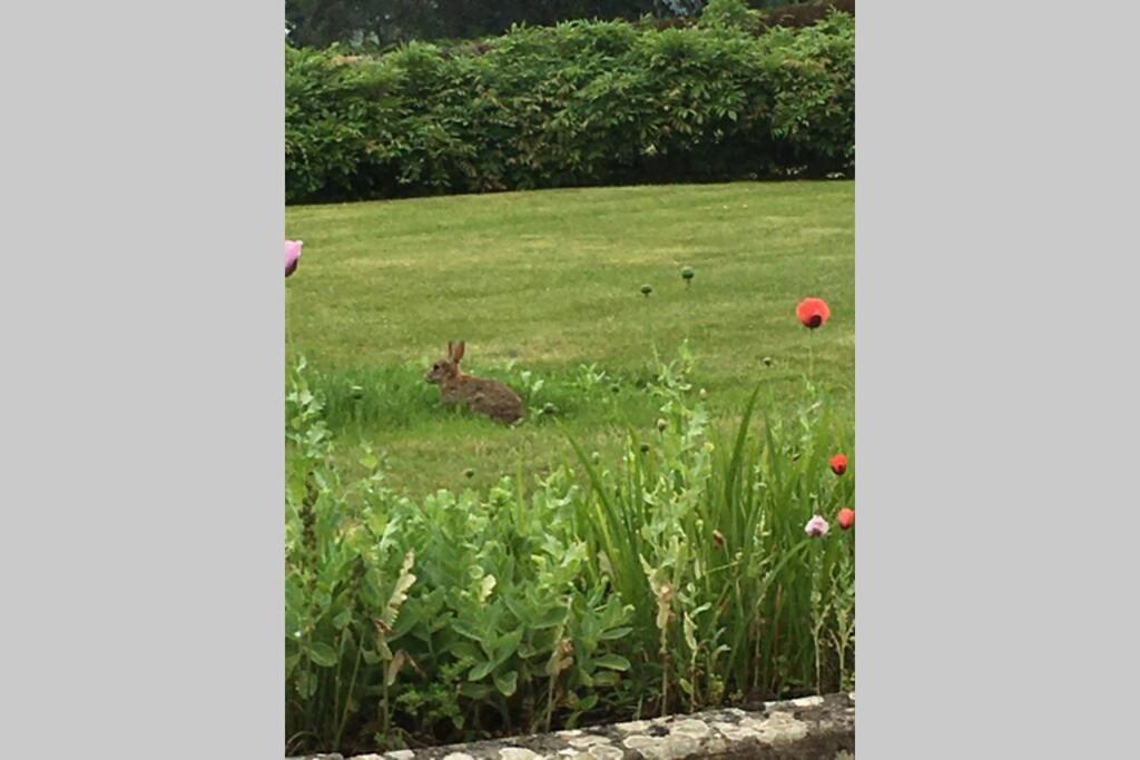 Stay On The Grounds Of This Beautiful Manor House Wimborne Minster Exteriör bild
