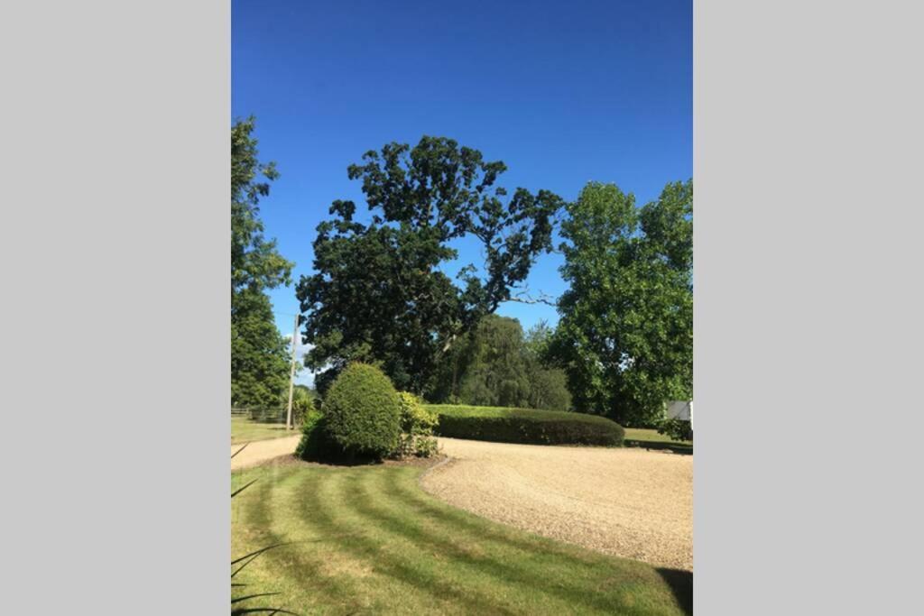 Stay On The Grounds Of This Beautiful Manor House Wimborne Minster Exteriör bild