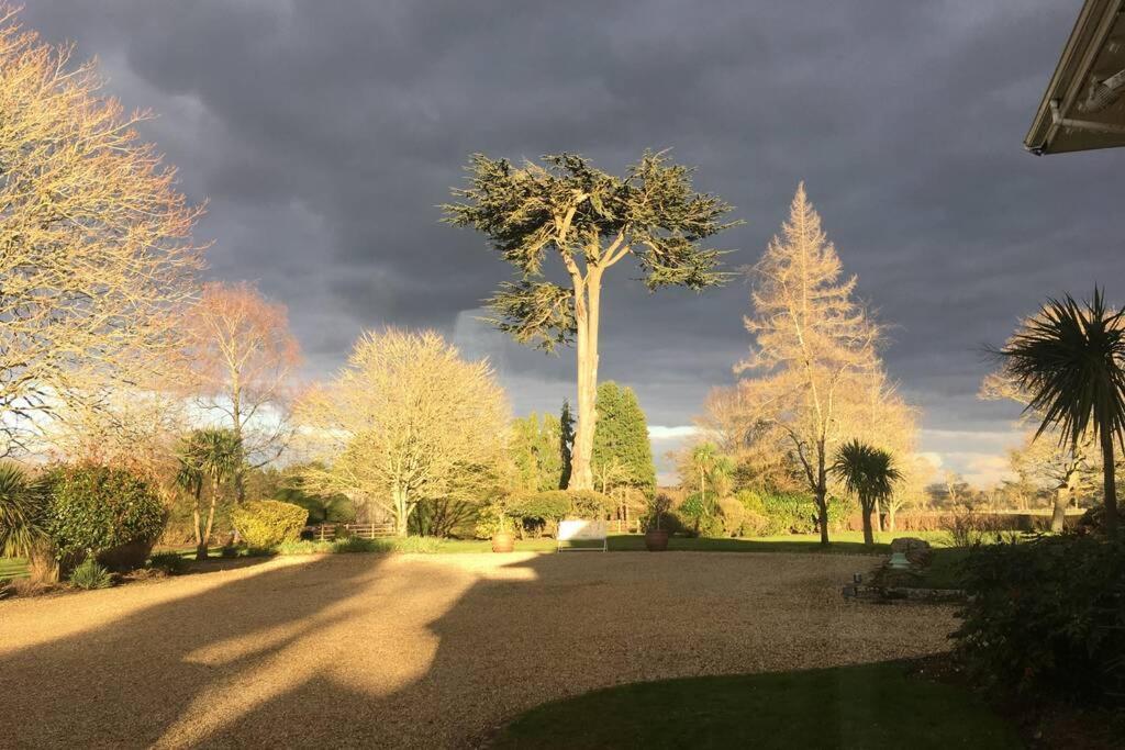 Stay On The Grounds Of This Beautiful Manor House Wimborne Minster Exteriör bild