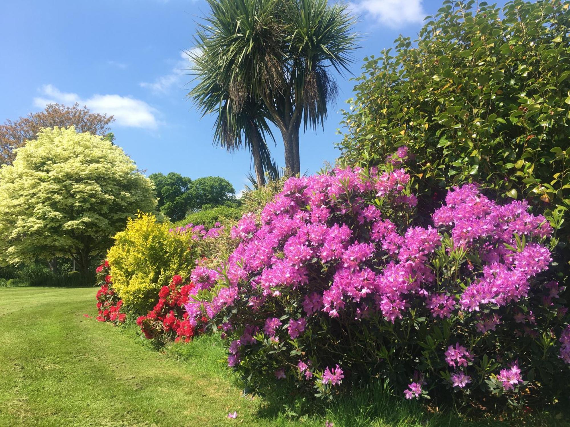 Stay On The Grounds Of This Beautiful Manor House Wimborne Minster Exteriör bild